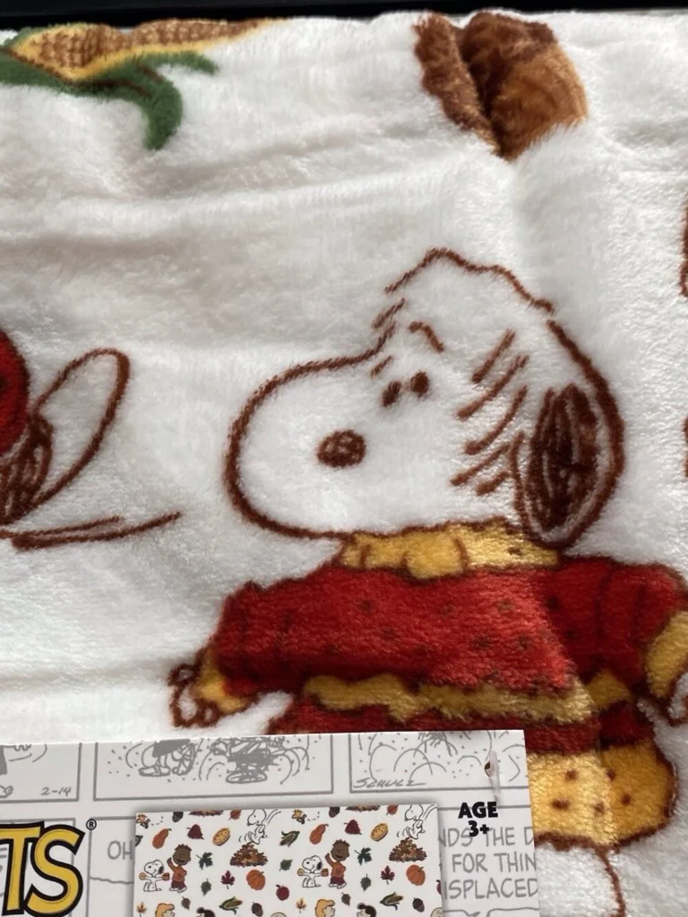 Peanuts Snoopy Fall Autumn Throw Blanket Charlie Lucy Franklin 50” X 70” NEW